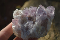 Natural Sugar Amethyst Clusters  x 6 From Solwezi, Zambia - Toprock Gemstones and Minerals 