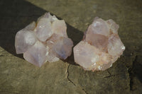 Natural Spirit Amethyst Cactus Quartz Clusters x 12 From Boekenhouthoek, South Africa