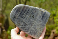 Polished  Labradorite Standing Free Forms With Purple & Gold Flash  x 2 From Tulear, Madagascar - TopRock