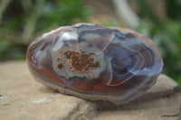 Polished Red River Agate Nodules  x 4 From Zimbabwe - TopRock