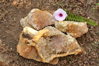 Natural Golden Limonite Quartz Clusters  x 3 From Mwinilunga, Zambia - TopRock