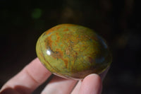 Polished Large Green Opal Palm Stones  x 12 From Madagascar - Toprock Gemstones and Minerals 