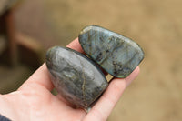 Polished Labradorite Standing Free Forms With Intense Blue & Gold Flash x 12 From Tulear, Madagascar - TopRock