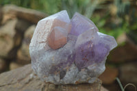 Natural Jacaranda Amethyst Clusters  x 2 From Zambia - Toprock Gemstones and Minerals 