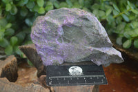 Natural Rough Stichtite & Serpentine Specimens  x 3 From Barberton, South Africa - Toprock Gemstones and Minerals 