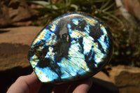 Polished Labradorite Standing Free Forms With Intense Blue & Gold Flash x 2 From Sakoany, Madagascar - TopRock