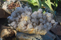 Natural Giant Cascading Smokey Quartz Cluster x 1 From Luena, Congo