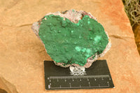 Natural Crystalline Malachite Specimens  x 6 From Tenke Fungurume, Congo - TopRock