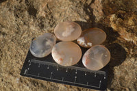 Polished Mini Ocean  Flower Agate Palm Stones  x 140 From Madagascar