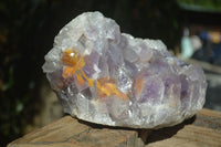 Natural Extra Large Jacaranda Amethyst Cluster  x 1 From Zambia - Toprock Gemstones and Minerals 