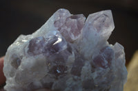 Natural Sugar Amethyst Clusters  x 6 From Solwezi, Zambia - Toprock Gemstones and Minerals 