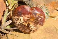 Polished Large Petrified Red Podocarpus Wood Hearts  x 2 From Mahajanga, Madagascar - TopRock