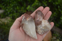 Natural Red Hematoid Quartz Specimens x 12 From Karoi, Zimbabwe - TopRock