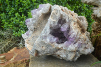 Natural Jacaranda Amethyst Cluster x 1 From Mumbwa, Zambia