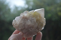 Natural Cascading White Phantom Quartz Clusters  x 6 From Luena, Congo - Toprock Gemstones and Minerals 