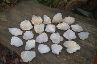 Natural White Spirit Cactus Quartz Crystals  x 24 From Boekenhouthoek, South Africa - Toprock Gemstones and Minerals 