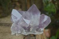 Natural Jacaranda Amethyst Clusters  x 2 From Mumbwa, Zambia - Toprock Gemstones and Minerals 