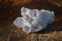 Natural Sugar Amethyst Clusters  x 6 From Solwezi, Zambia - Toprock Gemstones and Minerals 