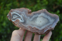 Polished Red River Agate Nodules  x 4 From Zimbabwe - TopRock