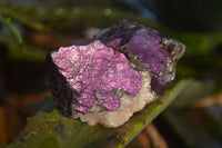 Natural Metallic Purpurite Cobbed Specimens  x 24 From Erongo, Namibia - Toprock Gemstones and Minerals 