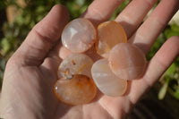 Polished Mini Ocean  Flower Agate Palm Stones  x 140 From Madagascar