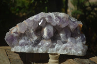 Natural Extra Large Jacaranda Amethyst Cluster  x 1 From Zambia - Toprock Gemstones and Minerals 