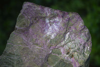 Natural Rough Stichtite & Serpentine Specimens  x 3 From Barberton, South Africa - Toprock Gemstones and Minerals 