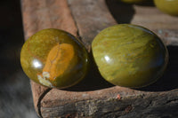 Polished Large Green Opal Palm Stones  x 12 From Madagascar - Toprock Gemstones and Minerals 