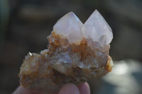 Natural Spirit Amethyst Cactus Quartz Clusters x 12 From Boekenhouthoek, South Africa