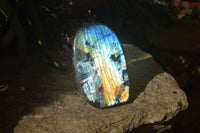 Polished Blue & Gold Labradorite Standing Free Form  x 1 From Tulear, Madagascar