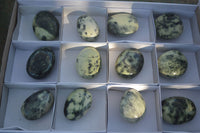 Polished Spotted Leopard Stone Gallets  x 6 From Zimbabwe - Toprock Gemstones and Minerals 