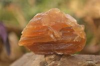 Natural Honey Aragonite Etched & Cobbed Pieces  x 12 From Namibia