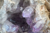 Natural Jacaranda Amethyst Cluster x 1 From Mumbwa, Zambia