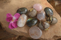 Polished Lovely Mixed Selection Of Palm Stones  x 12 From Madagascar - TopRock