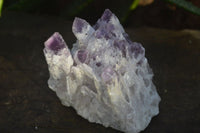 Natural Sugar Amethyst Clusters  x 6 From Solwezi, Zambia - Toprock Gemstones and Minerals 