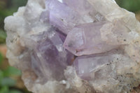 Natural Jacaranda Amethyst Cluster x 1 From Mumbwa, Zambia - TopRock