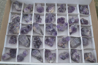 Natural Small Dark Amethyst Clusters  x 37 From Mapatizya, Zambia - Toprock Gemstones and Minerals 