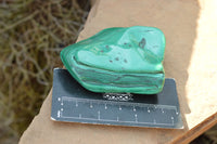 Polished Malachite Free Forms With Stunning Flower & Banding Patterns x 5 From Congo - TopRock