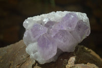 Natural Jacaranda Amethyst Clusters  x 3 From Mumbwa, Zambia - Toprock Gemstones and Minerals 