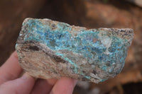 Natural Rough Blue Shattuckite Specimens  x 12 From Kaokoveld, Namibia - Toprock Gemstones and Minerals 