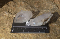 Natural Clear Amethyst & Smokey Brandberg Quartz Crystals x 12 From Brandberg, Namibia