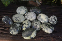 Polished Spotted Leopard Stone Gallets  x 6 From Zimbabwe - Toprock Gemstones and Minerals 