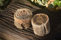 Polished Petrified Wood Branch Pieces  x 2 From Gokwe, Zimbabwe - Toprock Gemstones and Minerals 