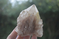 Natural Cascading White Phantom Quartz Clusters  x 6 From Luena, Congo - Toprock Gemstones and Minerals 