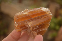 Natural Honey Aragonite Etched & Cobbed Pieces  x 12 From Namibia