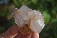 Natural Spirit Amethyst Cactus Quartz Clusters x 12 From Boekenhouthoek, South Africa