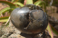 Polished Septaria Dragons Egg x 1 From Mahajanga, Madagascar - TopRock