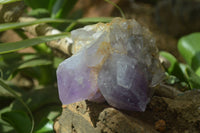 Natural Jacaranda Amethyst Clusters  x 3 From Mumbwa, Zambia - Toprock Gemstones and Minerals 