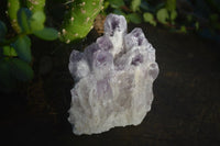 Natural Sugar Amethyst Clusters  x 6 From Solwezi, Zambia - Toprock Gemstones and Minerals 