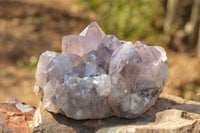 Natural Jacaranda Amethyst Clusters x 2 From Mumbwa, Zambia - TopRock